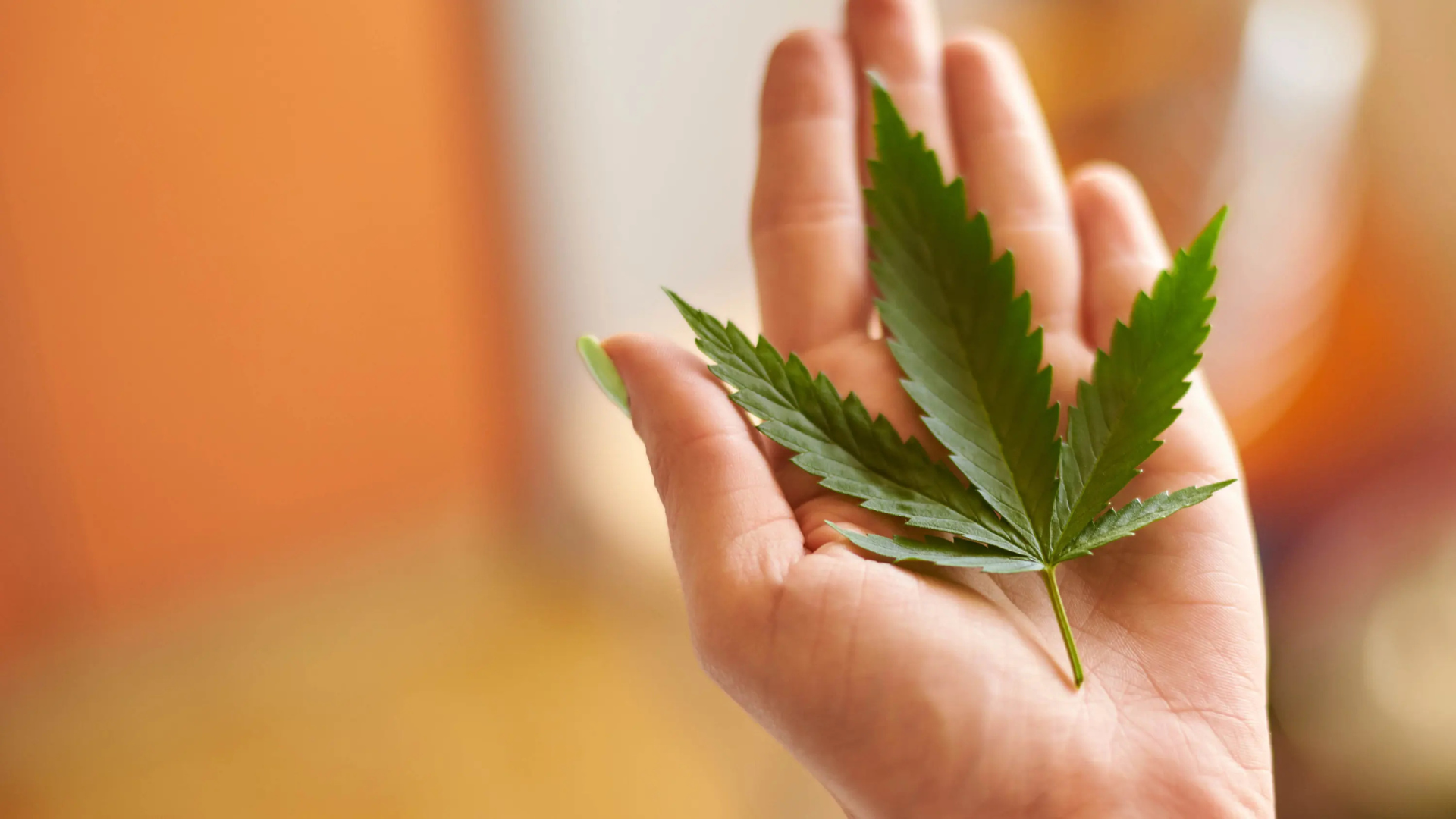 Is Delta 9 THC legal in the USA