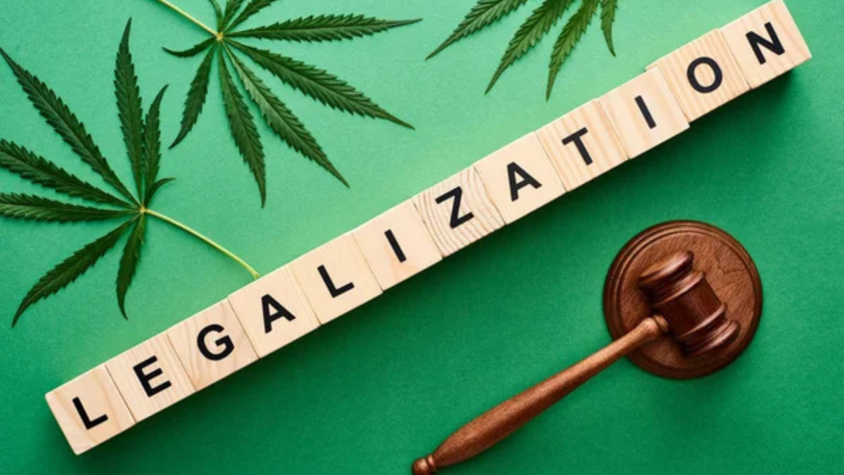 Is Cannabis Legal in Switzerland? Know the 2025 Laws